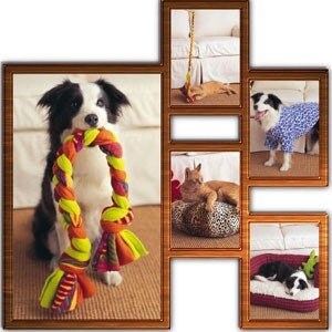 Pet Patterns - Kwik Sew Pet Jacket, Dress and Carrier Pattern