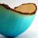 Blue - Box Elder Bowl