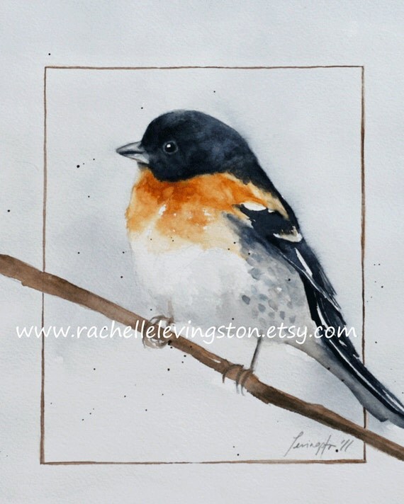 Original Black Bird Artwork Bird Wall Decor 8 x10 BOGO Sale