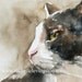 ORIGINAL Cat PAINTING 5x7 Original Painting of cat (original cat watercolor) Kitty picture in gray brown tan olive avacado lime green