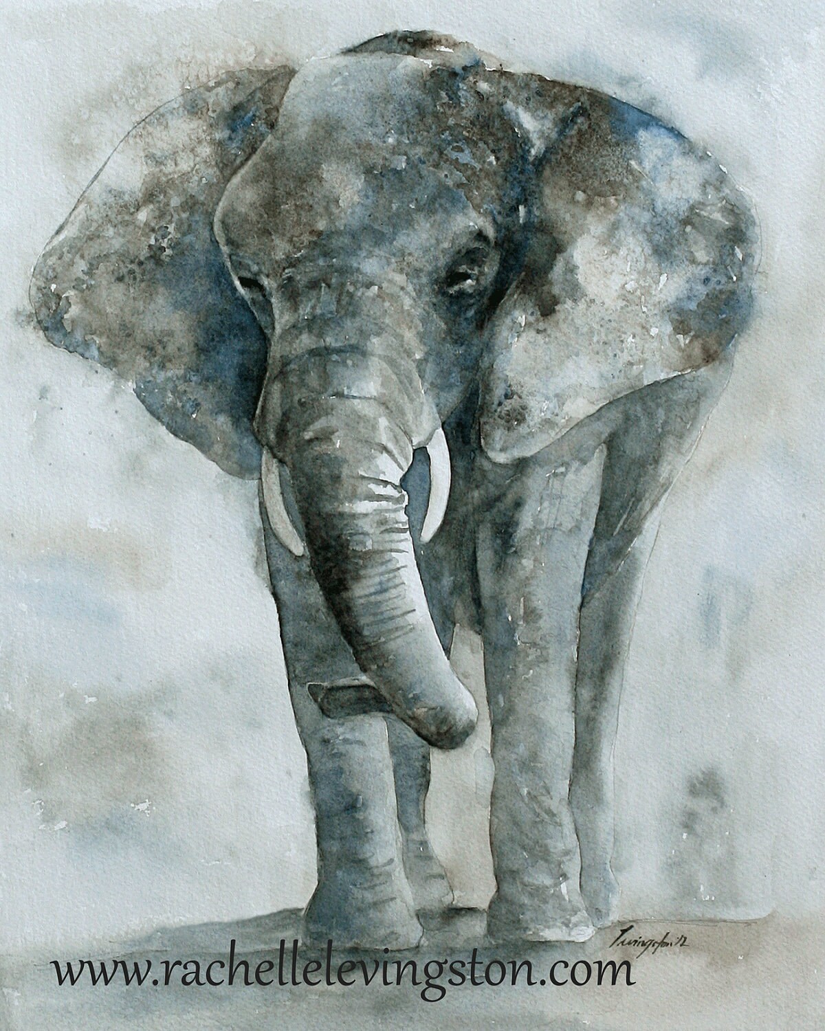 Art Elephant Wall art boy room decor 8 x 10 elephant nursery