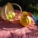 Eco Picnic Blanket \/ Retro and Roomy