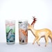 Vintage Souvenir Glasses