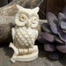 RESERVED for Phil,White Owl Figurine, Carved and Detailed White Coral