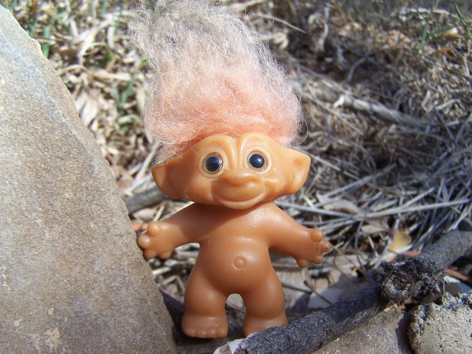 troll wishnik