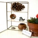 Brass and Glass Treasure Display