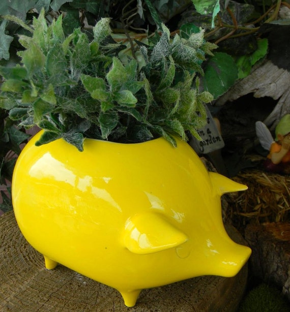 Pig Vase Planter in Bright Sunshine by EnchantdMushroomLand