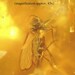 Inclusion (2 insects fossils) in the Baltic amber. (EM152)