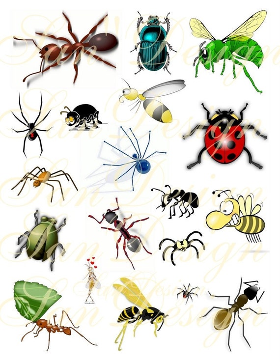 clipart of insects - photo #18