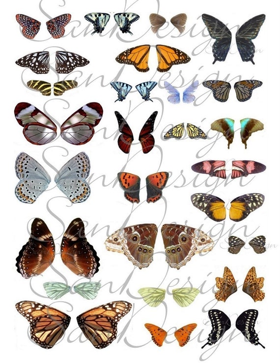 Butterfly Wings 5 Digital Collage Sheet No. 67