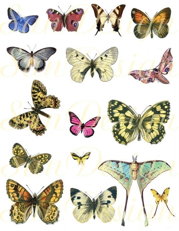 Vintage Butterfly Digital Collage Sheet pink yellow by SanDesign