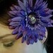 Pirate Booty - Skull Button - Hair Fascinator Clip