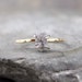 Diamond In The Rough Engagement Ring - One Carat Rough Uncut Diamond and 10K Yellow Gold Ring - Handmade and Designed by A Second Time