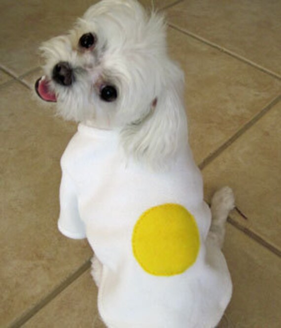 Handmade Fried Egg Chihuahua Yorkie or Maltese Dog Costume