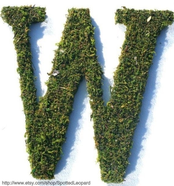 Moss Covered 12 inch initial letter W
