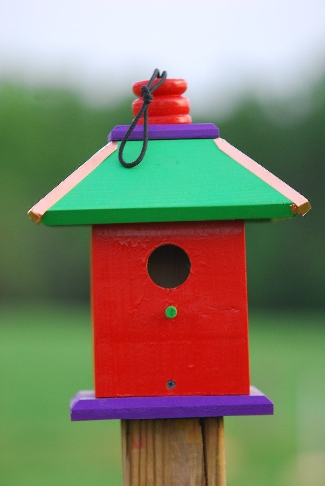 Hanging Bird House Whimsical Birdhouses Painted Bird Houses