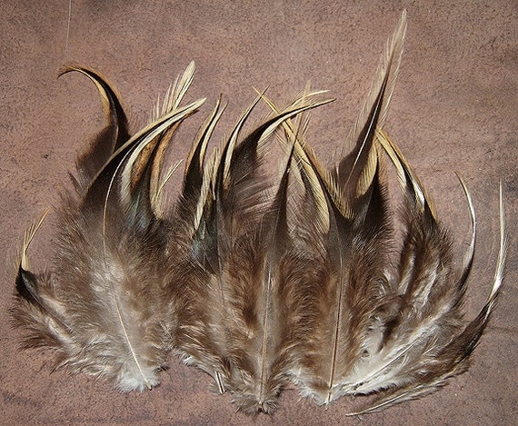 SALE Rooster Saddle Hackle Feathers Golden Silver Badger