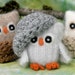 Adopt a Baby Owl ... angora eco wool felt owl and nest (woolcrazy)
