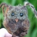 Plush Brown Baby Owl ... knit fuzzy ecofriendly felt wool owl toy (woolcrazy)