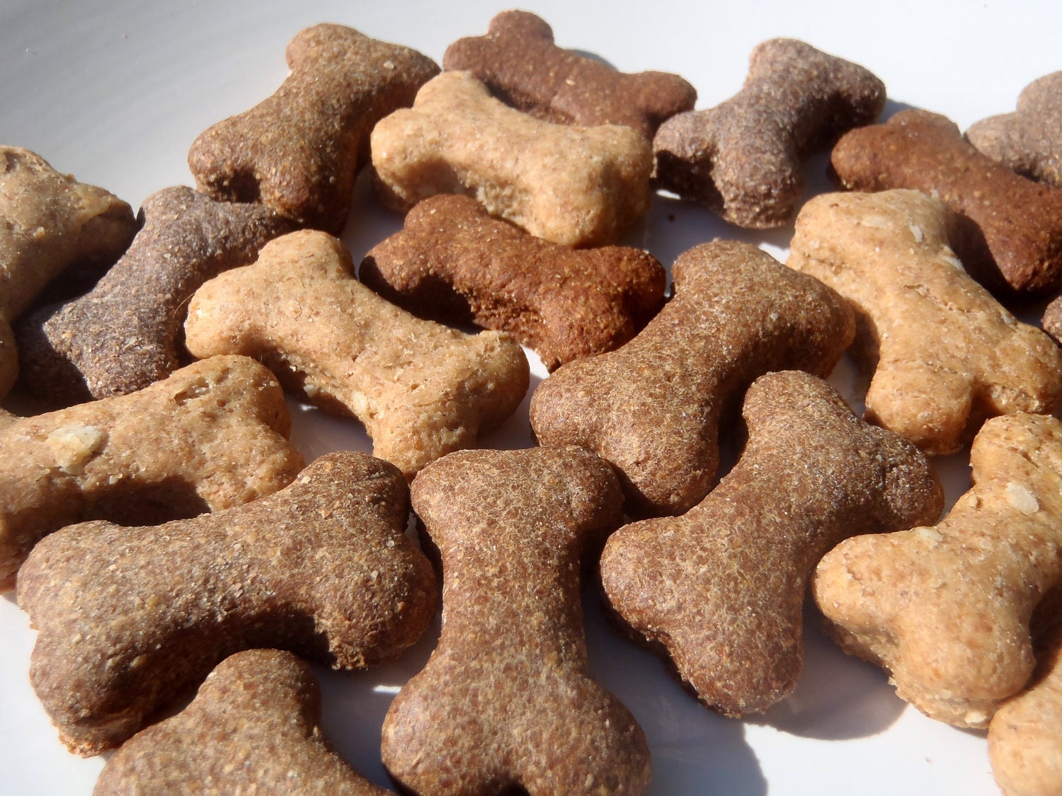 dog-treats-training-treats-assorted-mini-bones-all-natural