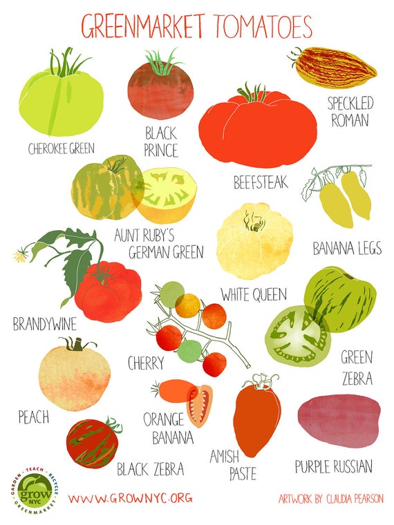 Tomato Poster