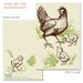 Farm Chickens, Hen and Chicks Journal, blank sketch book, recycled paper, small pocket size, great stocking stuffer
