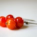 adena earrings. natural fire agate beads on antique bronze. last pair.