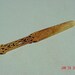 Rare curley maple peanut butter paddle
