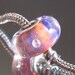 Tangled Sky Glass Firefly with Embedded CZ's FULLY Sterling Silver Lined Lampwork Charm Bead For Chamilia, Troll