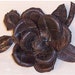 Now Reduced Very RARE Early 1900's Alligator Flower Pin Brooch