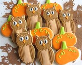OWLS and PUMPKINS - Fall Cookies - Owl Decorated Cookies - Pumpkin Decorated Cookies - 1 Dozen Il_170x135