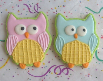 Owl Cookies - Owl Decorated Cookies - 1 Dozen