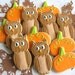 OWLS and PUMPKINS - Fall Cookies - Owl Decorated Cookies - Pumpkin Decorated Cookies - 1 Dozen