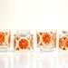 Vintage Geometric Rocks Glasses
