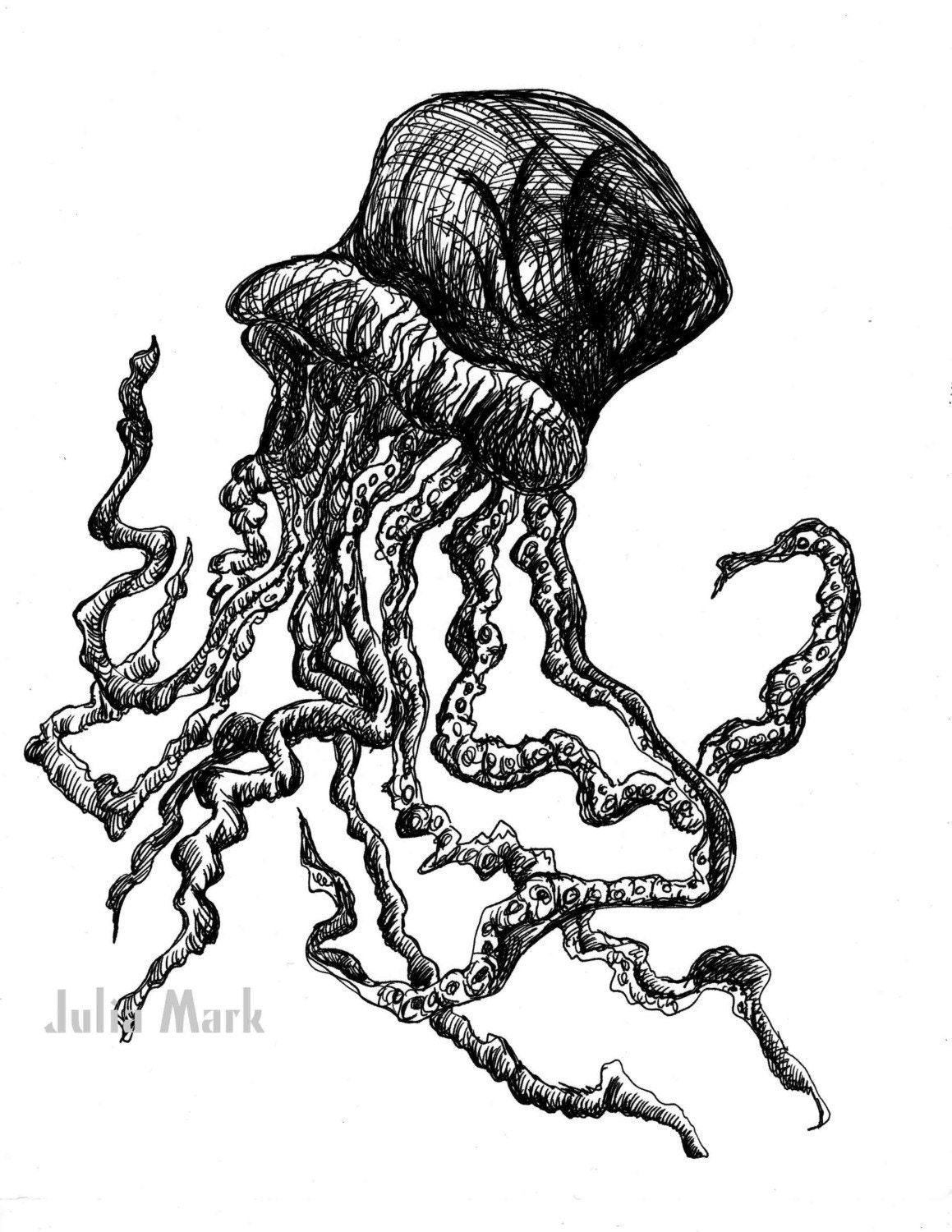 This is a graphic of Insane Jellyfish Ink Drawing It's just a photo of Insane Jellyfish Ink Drawing