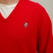 Vintage IZOD BUCKY BADGER Wisconsin V-neck Sweater Mens Large