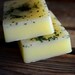 SALE Winter Grapefruit Soap - Iced Grapefruit, Juniper, Rosemary - Handmade Glycerin Soap