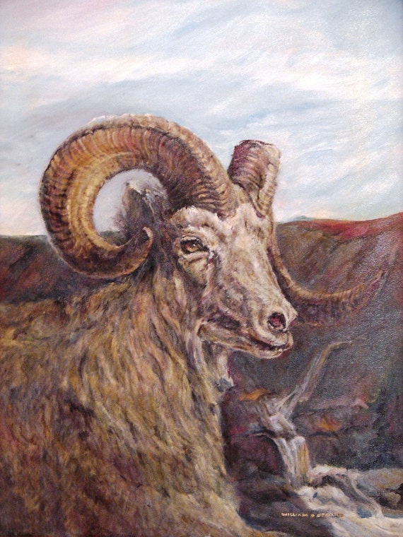 Large oil painting BigHorn Sheep