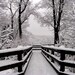 Snowfall Symmetry Winter Snow Scene with Fence 8x10 Original Fine Art Photograph
