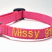 Safety Cat Collar - Personalized