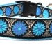 Circle of Daisies Turquoise - Custom Dog Collar