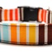 Stripe Custom Dog Collar/ Cotton Candy Stripe/ Boy Dog/Martingale Collar
