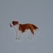St. Bernard Dog Magnet