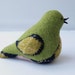 Upcycled Felted Wool Chubby Little Bird in Green and Black