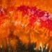 Hand Dyed Fabric Landscape Yard -- Forest Fire