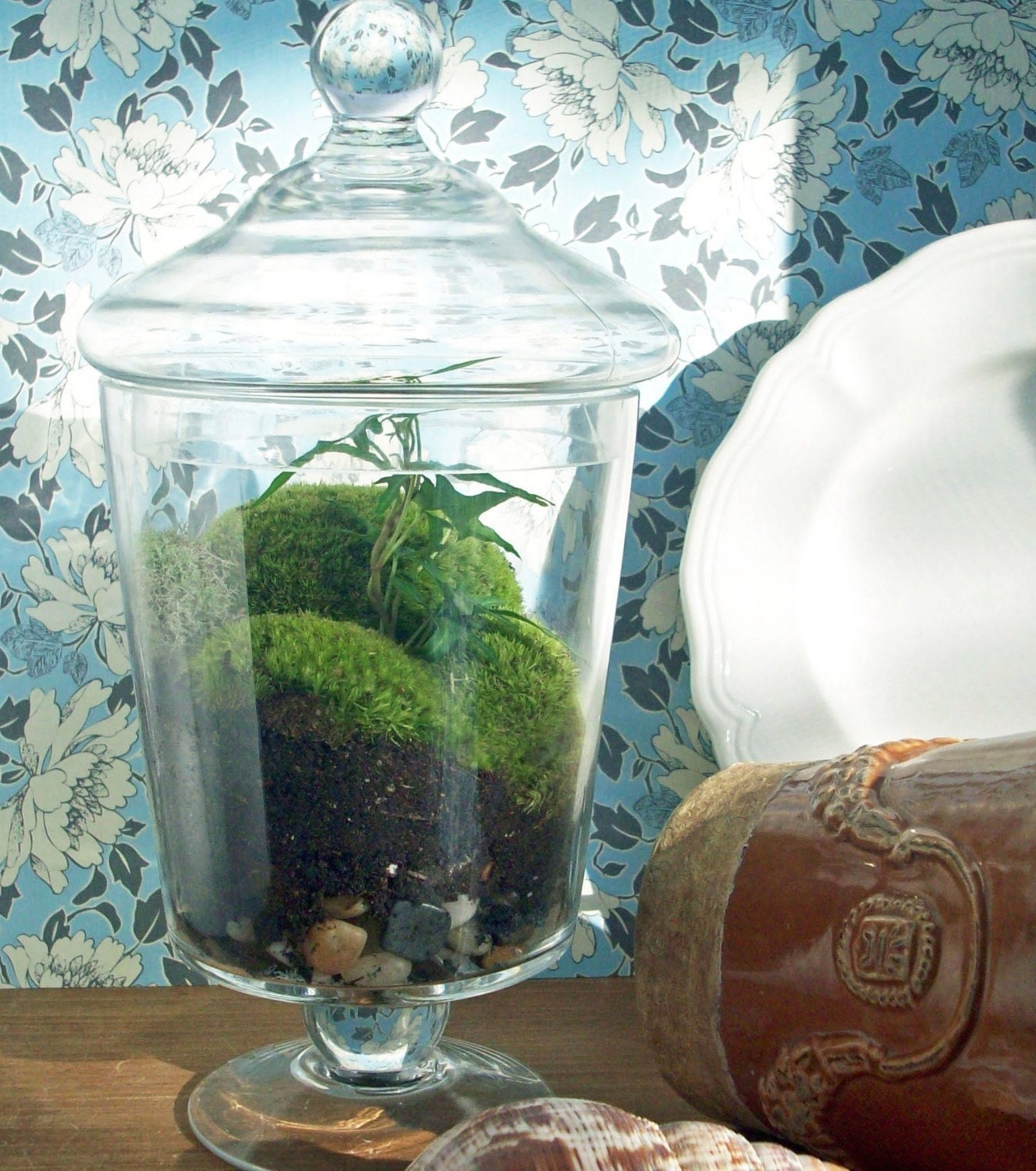Apothecary Jar Terrarium No. 22 Special order for Maggie