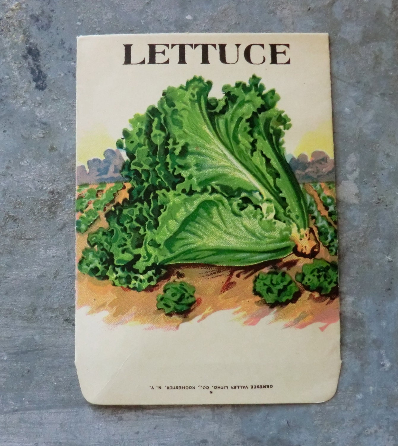 Lettuce Seed Packet Unused Circa by thecaravancollection on Etsy