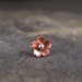 Reserve for Alexandra - Cherry Blossom Helix Earring 7-8mm - POINTED petals, Gifts for her, Gifts under 15,