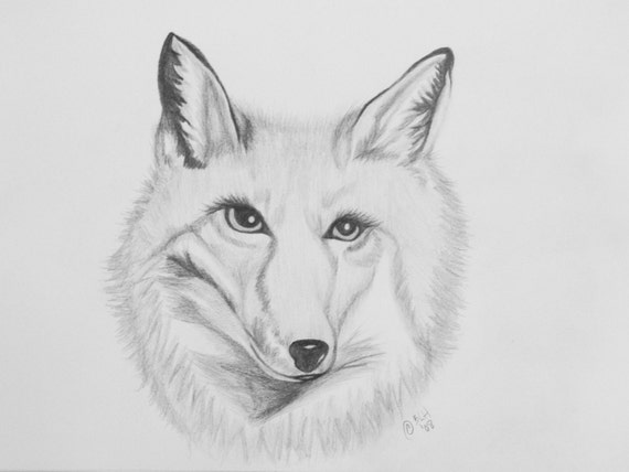 Items similar to Hand Drawn in Graphite Fox Art Print 8 X 10 on Etsy