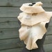 Ruffle wool nuno felted scarf Beige Ivory White